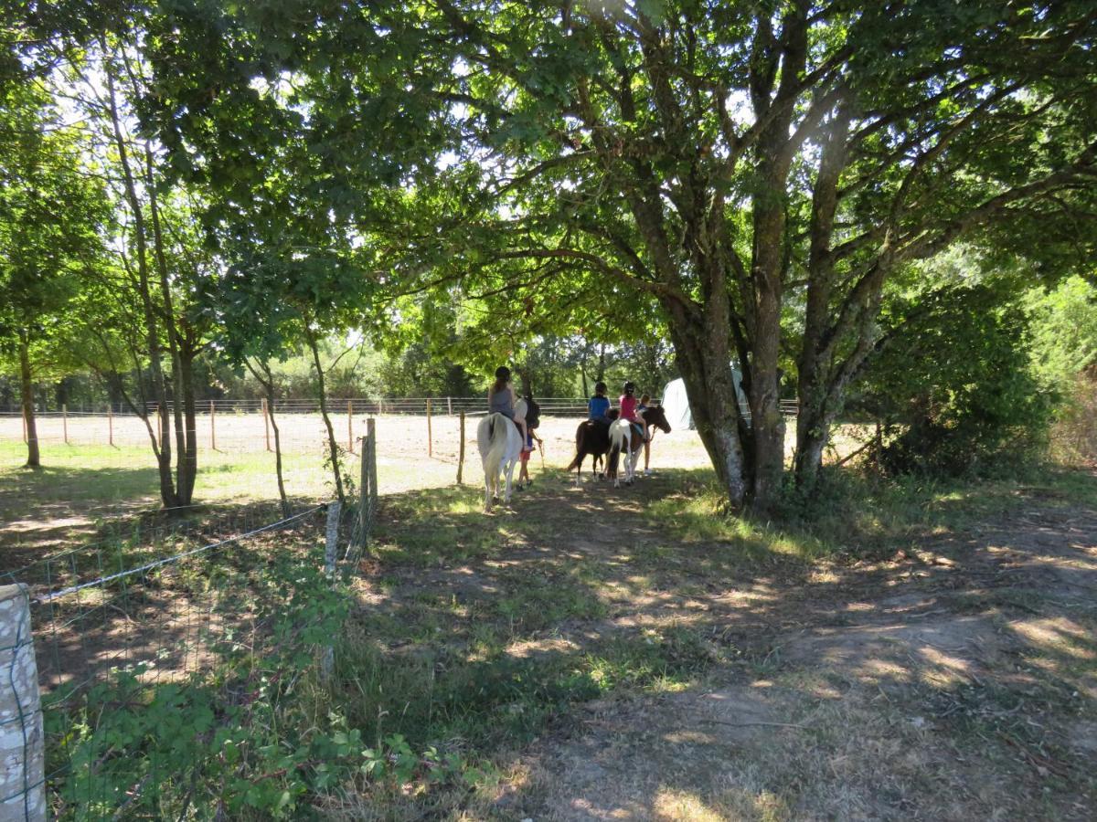 Camping Les P'Tites Maisons Dans La Prairie Sallertaine Exterior foto